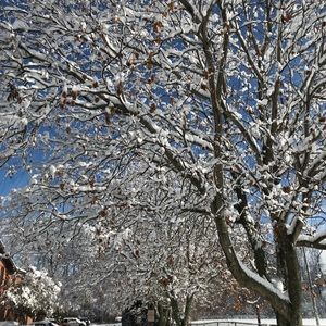 Meet your Posher, Jen